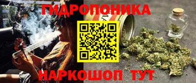ГАЛЛЮЦИНОГЕННЫЕ ГРИБЫ Малгобек